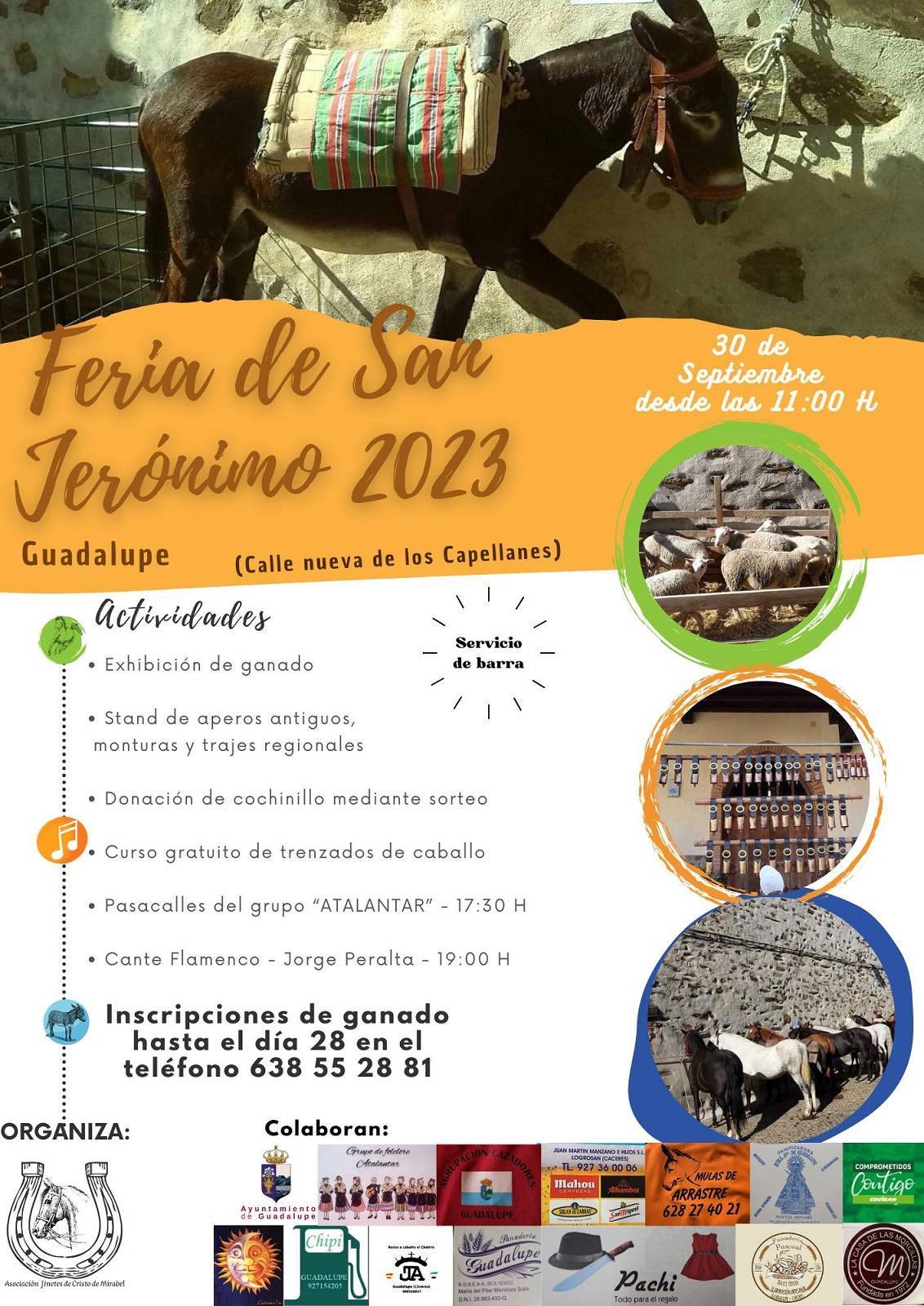 Feria de San Jerónimo (2023) - Guadalupe (Cáceres)