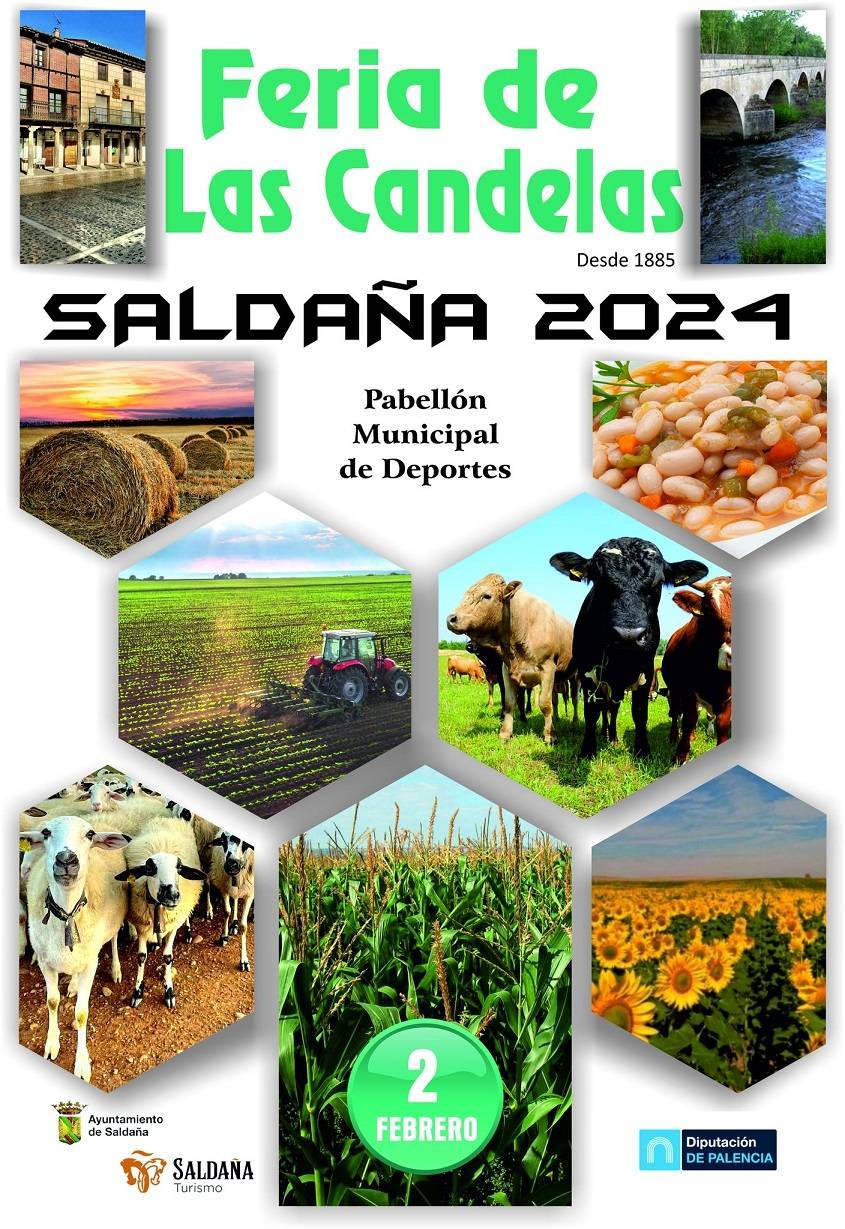 Feria de las Candelas (2024) - Saldaña (Palencia) 1