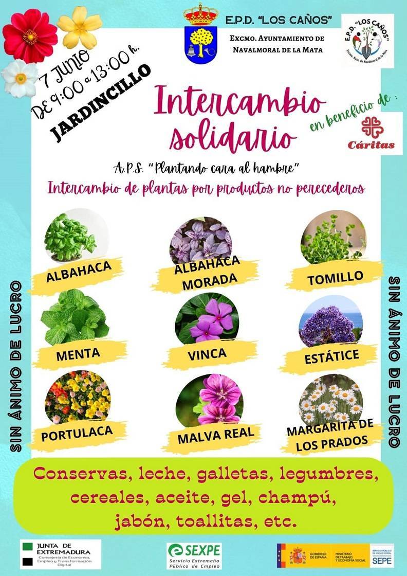 Planta cara al hambre (2024) - Navalmoral de la Mata (Cáceres)