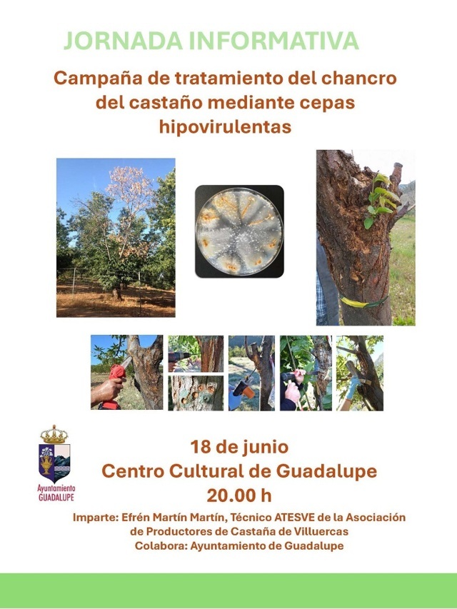 Jornada informativa sobre la campaña de tratamiento del chancro (2025) - Guadalupe (Cáceres)