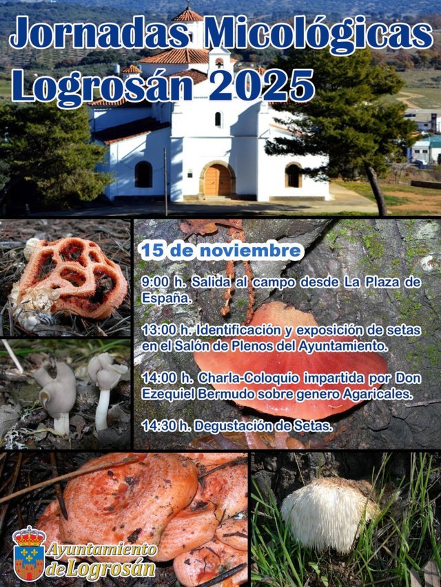 Jornadas micológicas (2025) - Logrosán (Cáceres)