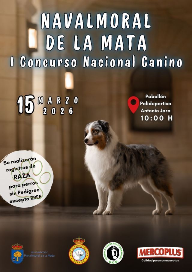 I Concurso Nacional Canino - Navalmoral de la Mata (Cáceres)