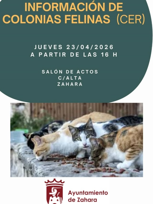 Información sobre colonias felinas (2026) - Zahara de la Sierra (Cádiz)